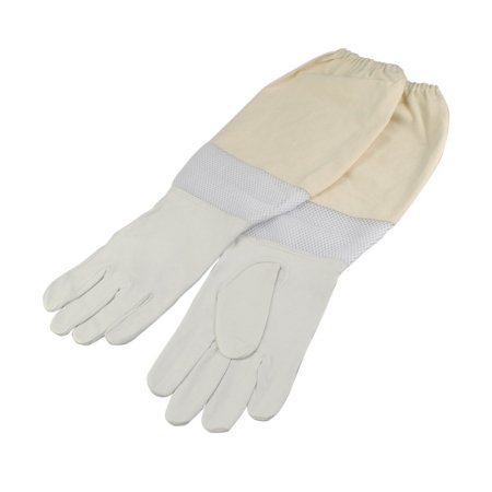 Bee Gloves_NCI-3205_139_2.jpg